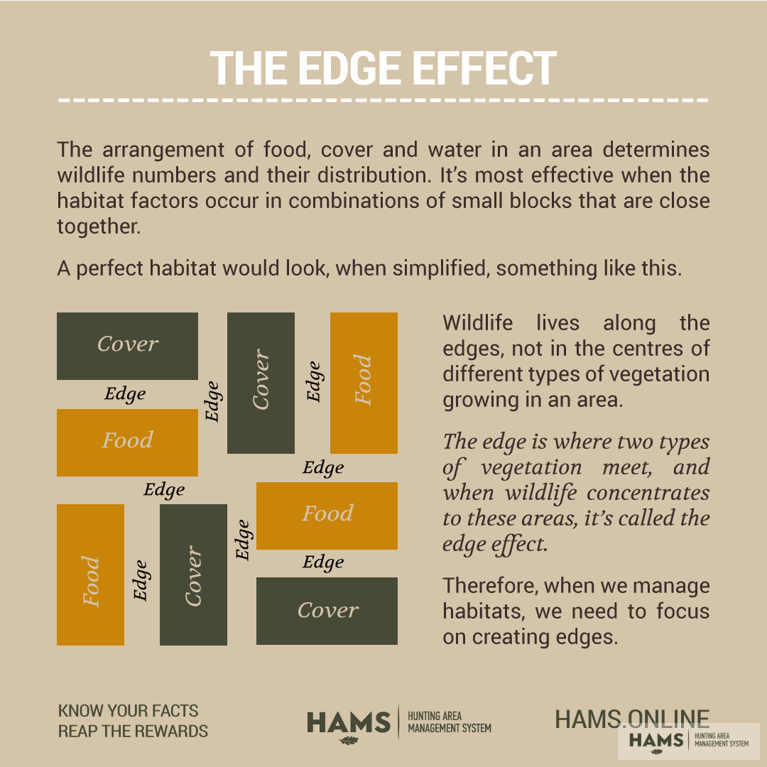 The fundamental role of habitat management in wildlife conservation