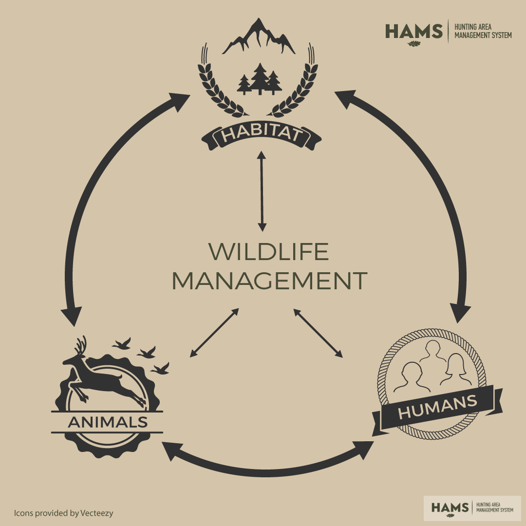 Wildlife management consists of management of habitats, animals and humans